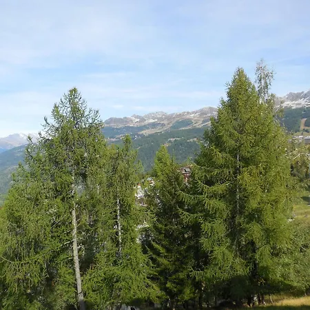 Divisible Pour 4 Pers. A La Plagne, Animaux Acceptes - Fr-1-353-74 *