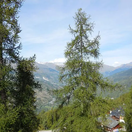 Divisible Pour 4 Pers. A La Plagne, Animaux Acceptes - Fr-1-353-74 Apartment *